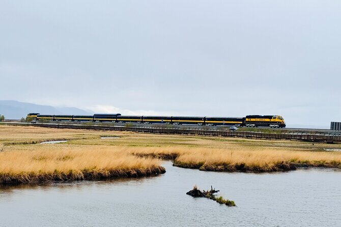 Private Whittier Cruise Transfer & Scenic Tour for Large Groups - The Journey Through Alaska’s Iconic Sites