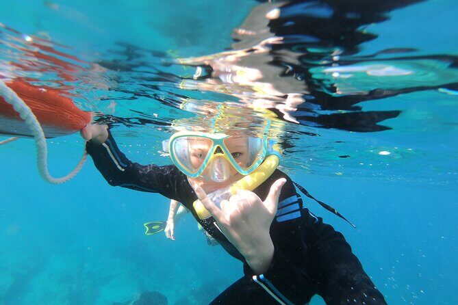 Private Wild Dolphin Encounter Day Trip - FAQs