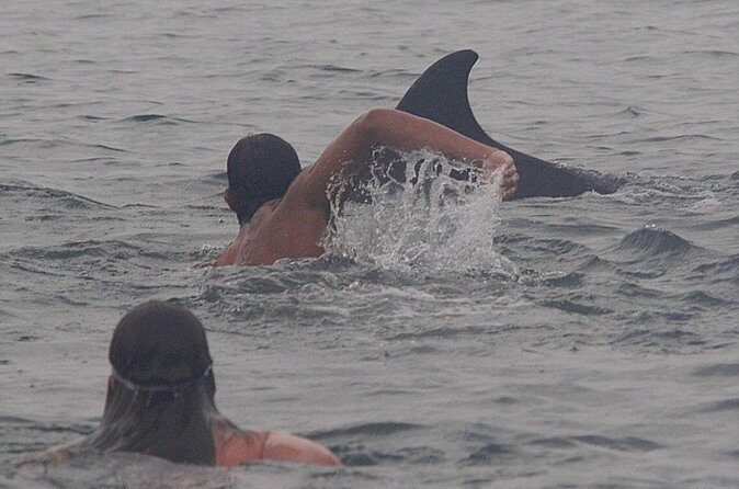 Private Wild Dolphin Encounter in Puerto Vallarta - FAQ