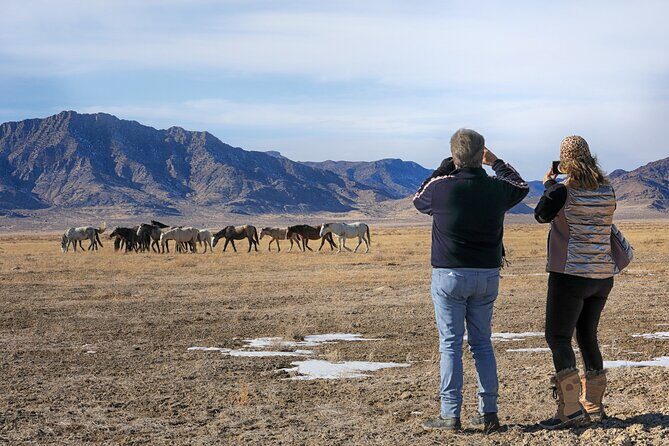 Private Wild Horse Photo Safari from Tooele - Who Is This Tour Best For?