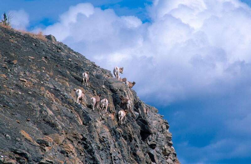 PRIVATE Wilderness and Wildlife Walking Tour - 2.5H - The Value Proposition