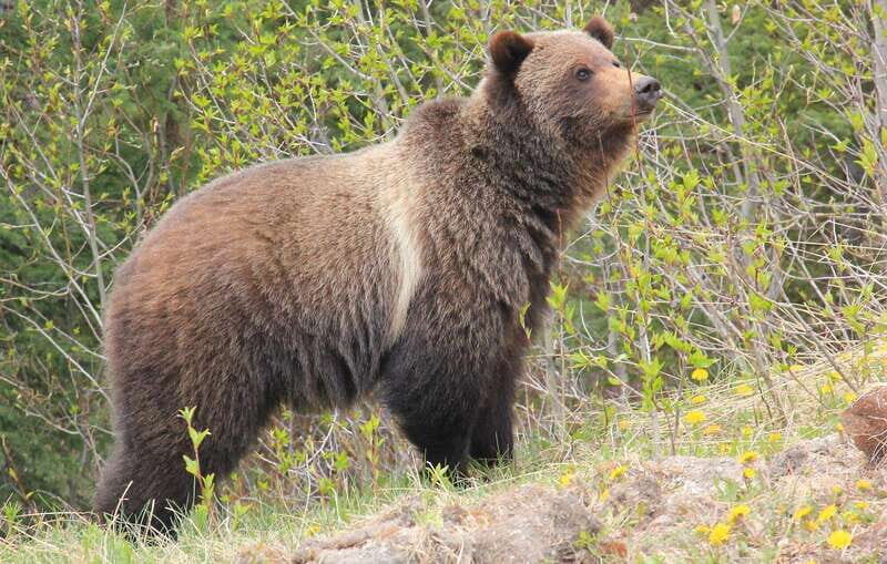 PRIVATE Wilderness and Wildlife Walking Tour - 2.5H - Final Thoughts