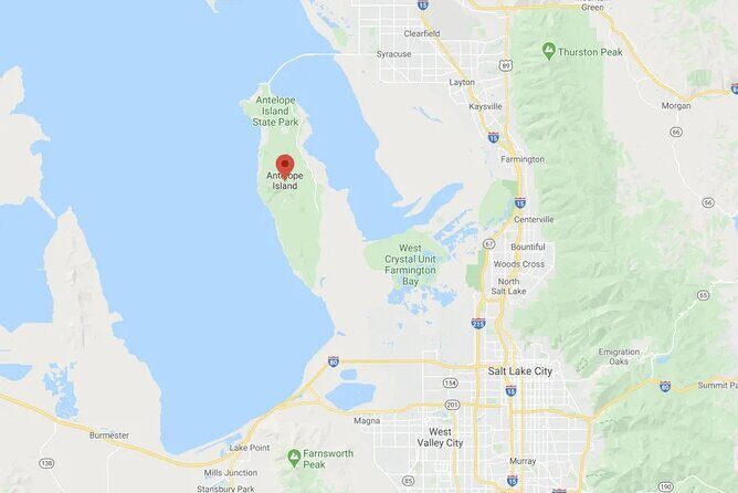 Private Wildlife and Scenic tour on Antelope Island - How do previous travelers feel?