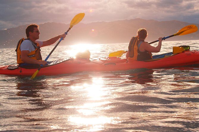 Private Wildlife Kayaking Tour - Kaikoura - Why This Tour Stands Out