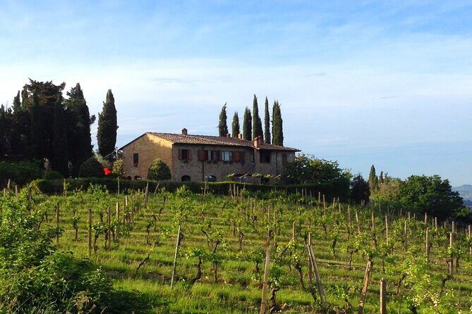 Private Wine and Extra Virgin Olive Oil Tasting - Value for Money