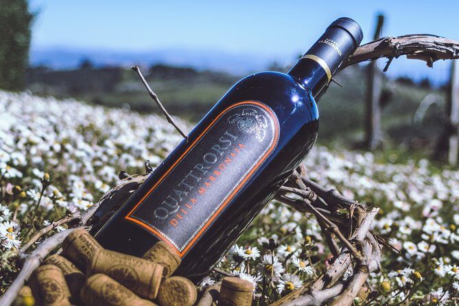 Private Wine and Extra Virgin Olive Oil Tasting - What Are the Drawbacks?