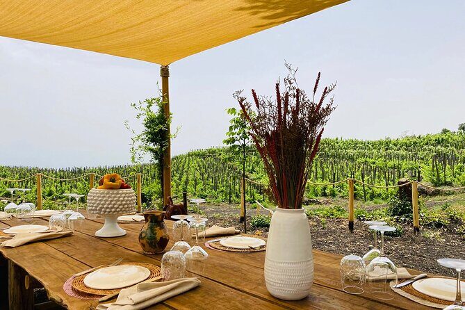 Private Wine and Food Tasting Immersed in Nature in Milo - What to Expect from Your Sicilian Food and Wine Day