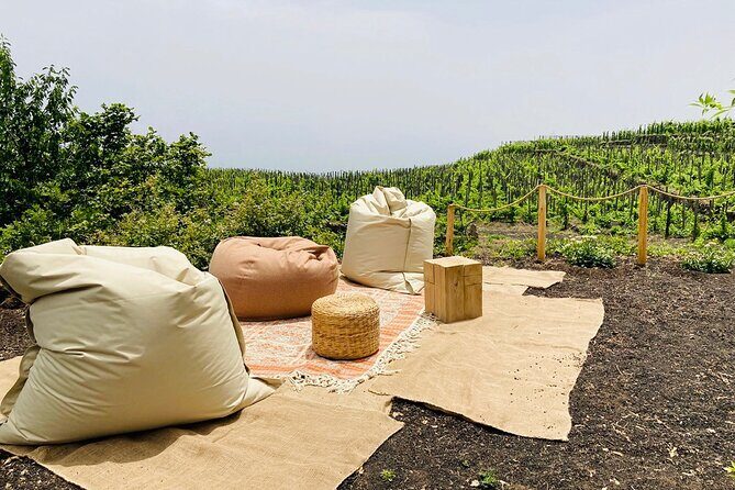 Private Wine and Food Tasting Immersed in Nature in Milo - The Practicalities: Duration, Booking, and Flexibility