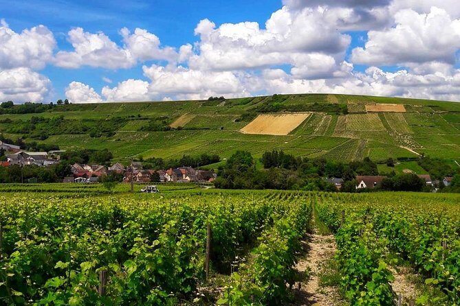 Private wine & cheese tour to Sancerre vineyards from Paris - FAQs