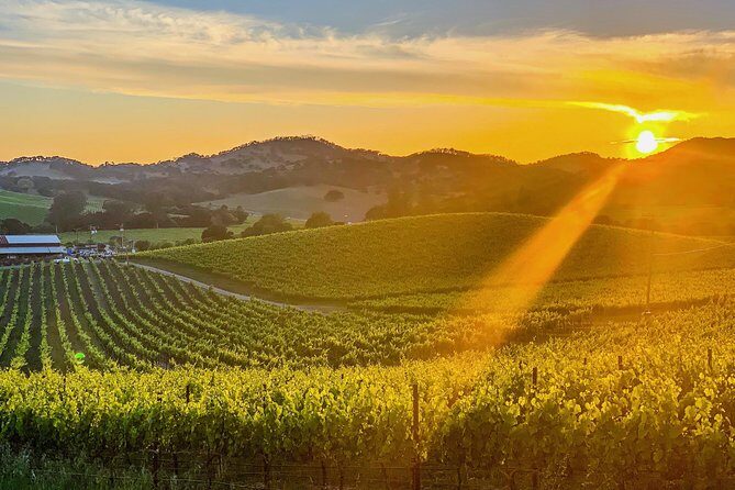 Private Wine Country Tour Including Photography Services - Key Points