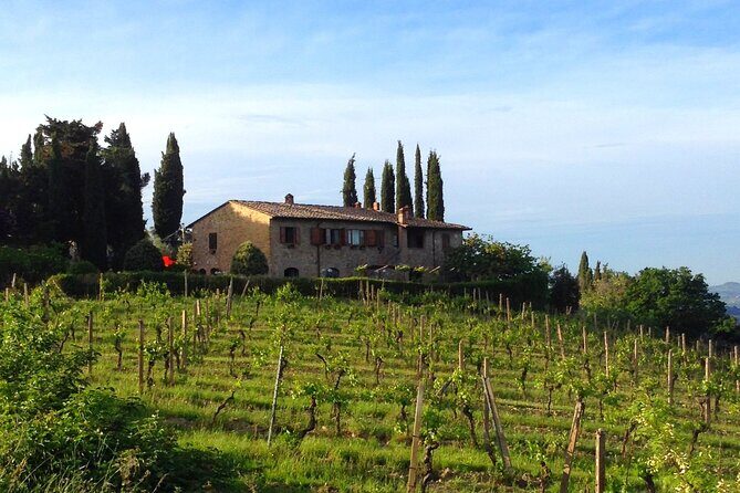 Private wine & EVO Oil Tasting with Tuscan Meal - Who Should Consider This Tour?