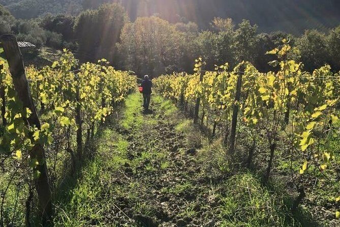 Private wine & EVO Oil Tasting with Tuscan Meal - Final Thoughts