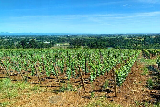 Private Wine Excursion Willamette Valley, Oregon - Wine Tour - What’s Not Included: Budgeting Tips