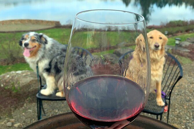 Private Wine Excursion Willamette Valley, Oregon - Wine Tour - Analyzing the Cost and Value