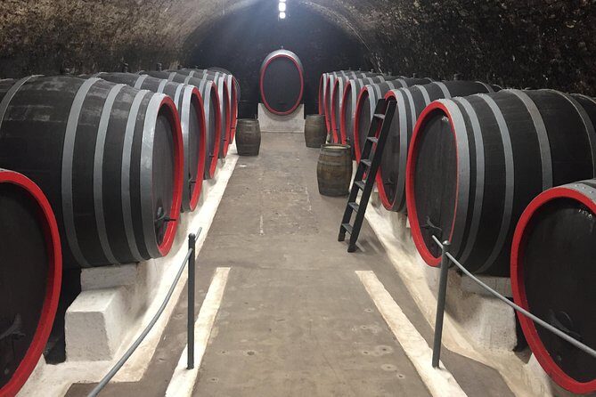 Private wine, food & heritage tour from Prague to Bohemia - Final Thoughts