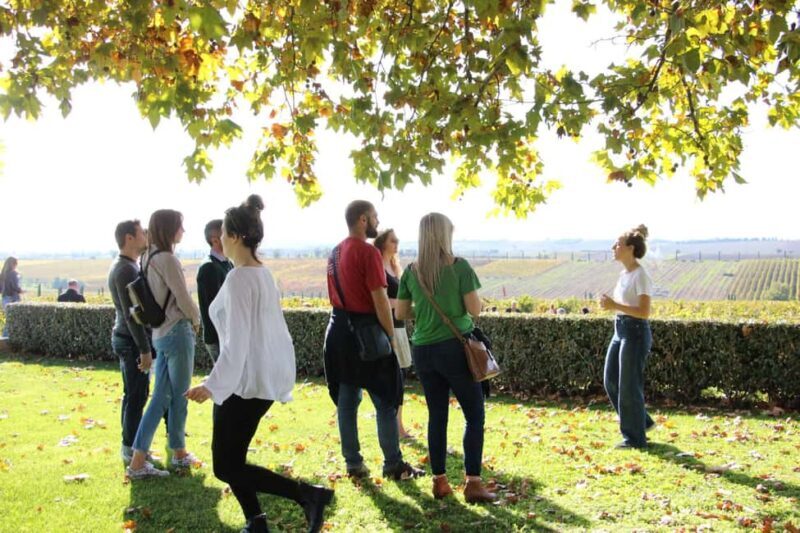 Private Wine & Museum Tour at Gerovassiliou Winery - Key Points