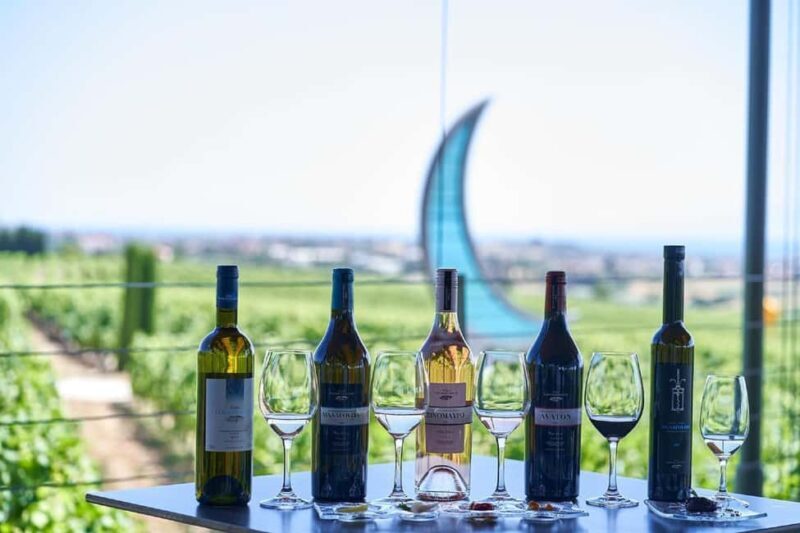 Private Wine & Museum Tour at Gerovassiliou Winery - What to Expect from the Gerovassiliou Winery Tour