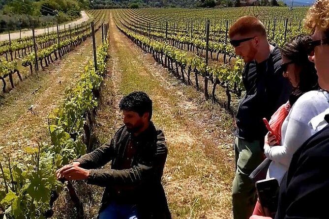 Private Wine Safari! Off-Road Wine Tasting in Winery in Tuscany! - Frequently Asked Questions