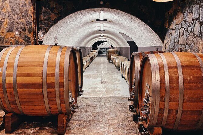 Private Wine Tasting Activity at Lipovac Winery - Who should consider this tour?