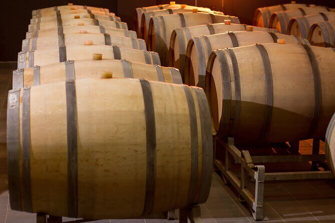 Private Wine Tasting Activity at Lipovac Winery - Final thoughts