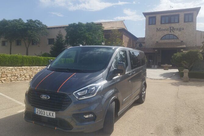 Private Wine Tasting And Visit Tour in Ribera Duero - An In-Depth Look at the Tour Experience