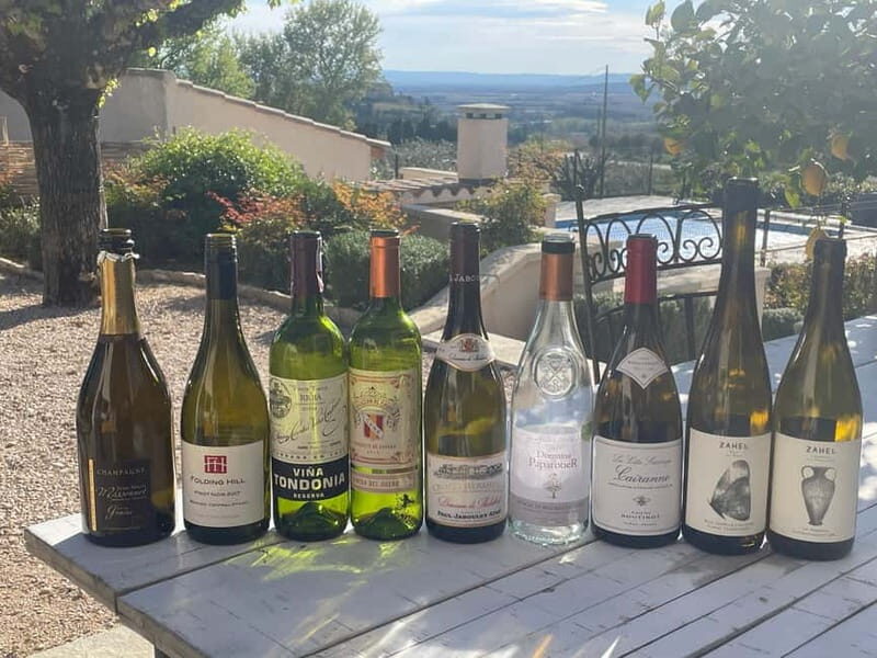 Private Wine Tasting at Your Holiday Rental - What to Expect During the Session