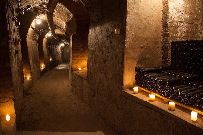 Private Wine Tasting by Party in Belgrade - A Deep Dive into the Belgrade Wine Tasting Experience