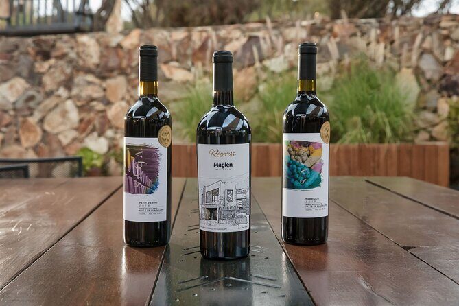 Private Wine Tasting Experience in Maglén - Who Is This Tour Best For?