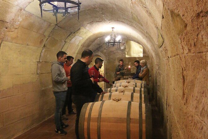 Private Wine Tasting in San Vicente de la Sonsierra - Exploring a Private Wine Tasting in San Vicente de la Sonsierra