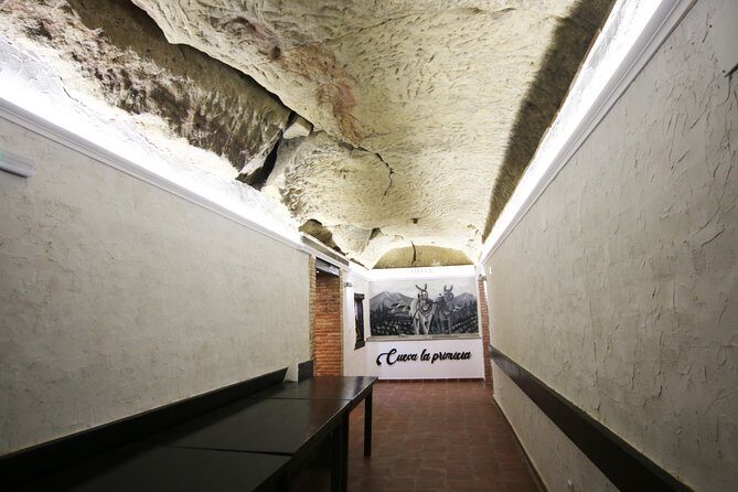 Private Wine Tasting in San Vicente de la Sonsierra - Key Points