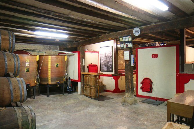 Private Wine Tasting in San Vicente de la Sonsierra - Meeting Point and Logistics