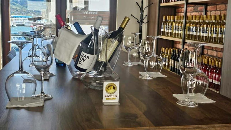 Private Wine Tasting Ohrid - What Is the Private Wine Tasting Ohrid Experience?