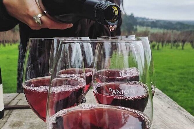 Private Wine Tasting Tour in Mornington Peninsula with Lunch - The Itinerary: A Closer Look