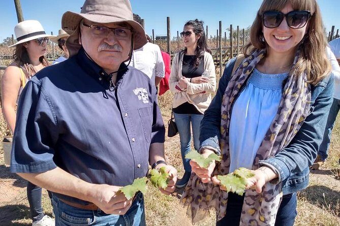 Private wine tasting & wine pairing tours - FAQs