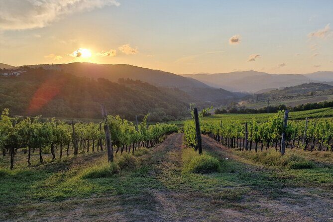 Private Wine Tour best of Chianti Tuscany 6 hours Limo Service - Who is this tour best suited for?