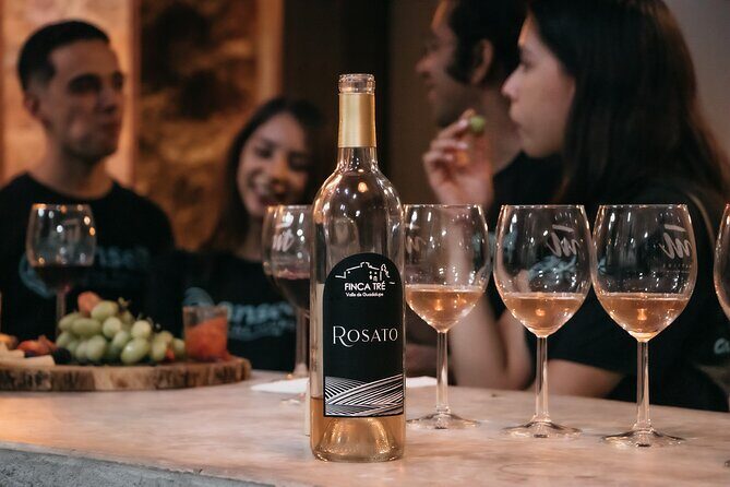 Private Wine Tour by Ansell Tours - Exploring the Private Wine Tour by Ansell Tours: A Deep Dive