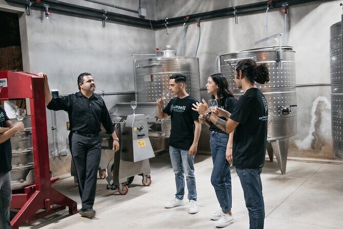 Private Wine Tour by Ansell Tours - What the Reviews Say About the Experience