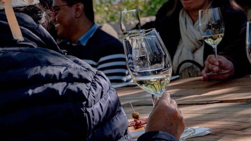 Private Wine Tour from Guanajuato City - Who Will Love This Tour?