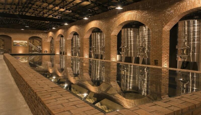 Private Wine Tour from Guanajuato City - Who Might Not Find It Ideal?