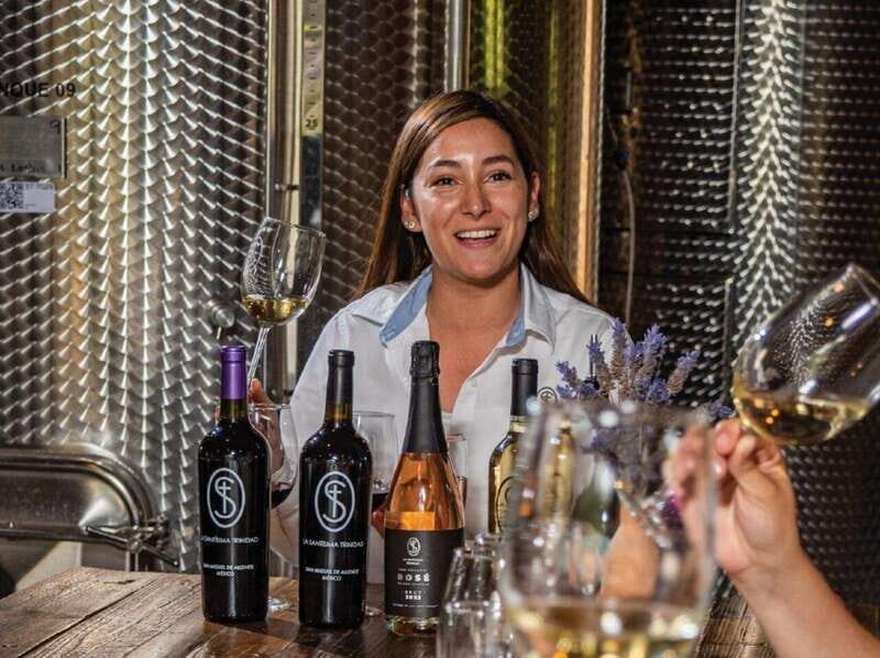 Private Wine Tour from Guanajuato City - Final Thoughts