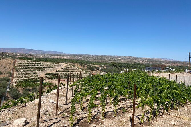 Private Wine Tour from Sedona - Arizonas Most Luxurious Wine Tour - Transportation & Group Size: Why It Matters