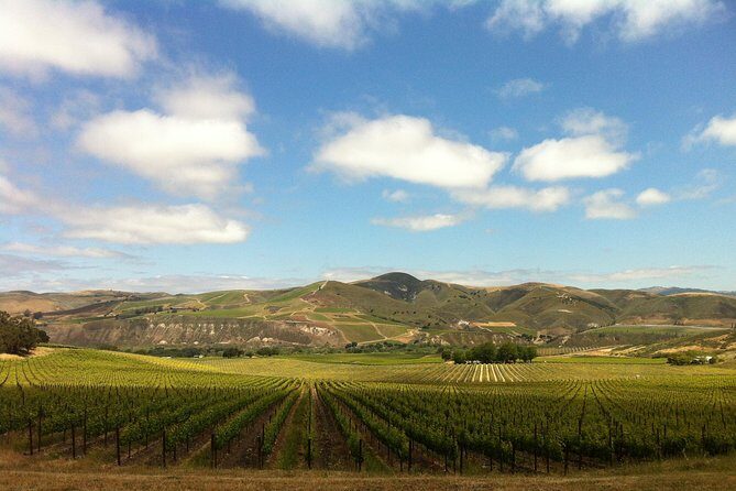 Private Wine Tour from the Santa Ynez Valley - Exploring the Santa Ynez Valley with a Private Wine Tour