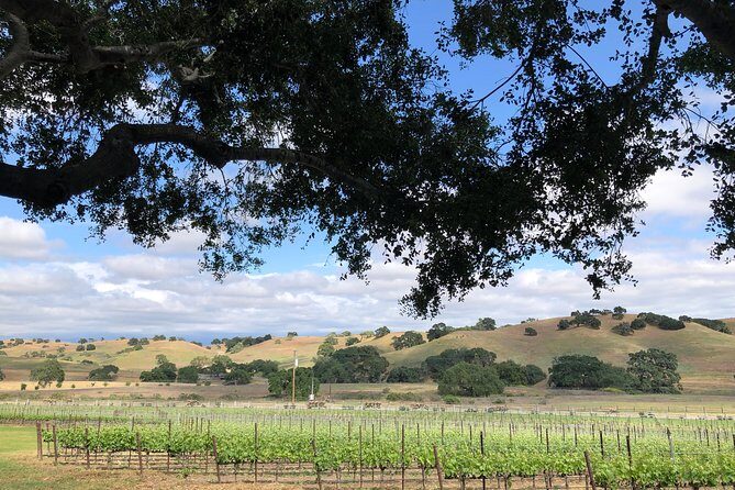 Private Wine Tour from the Santa Ynez Valley - Who Should Consider This Tour?