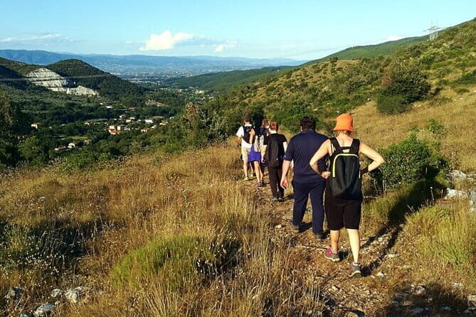 Private wine tour in Chianti Classico with sommelier (2 wineries) - Who Is This Tour Best For?