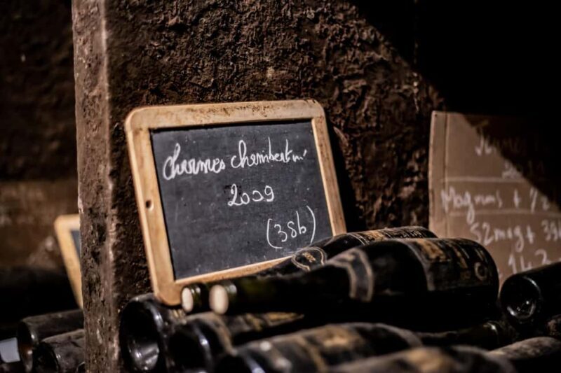 Private Wine Tour in Côte de Nuits and Côte de Beaune - Key Points
