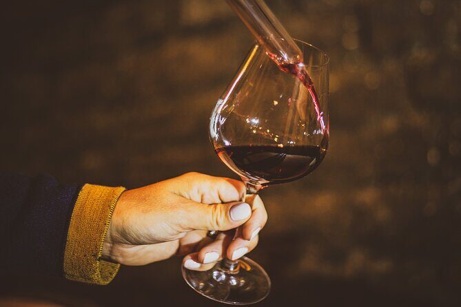 Private wine tour in Côte de Nuits and Côte de Beaune - Key Points