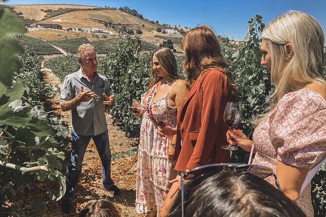 Private Wine Tour in Paso Robles - A Deep Dive into the Paso Robles Private Wine Tour