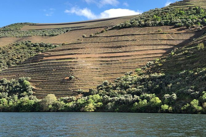 Private Wine Tour in the Douro Valley - Private wine tastings and lunch included - The Itinerary: A Closer Look