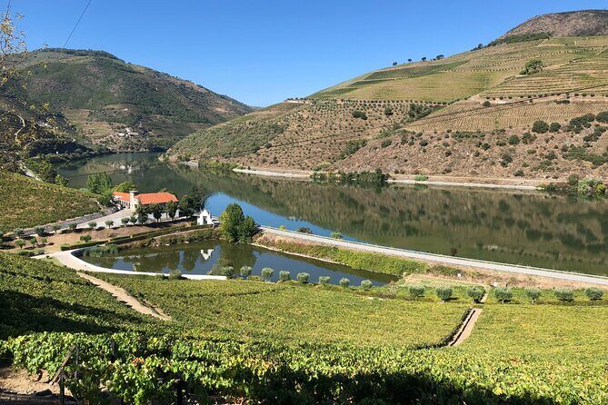 Private Wine Tour in the Douro Valley - Private wine tastings and lunch included - Who Should Consider This Tour?