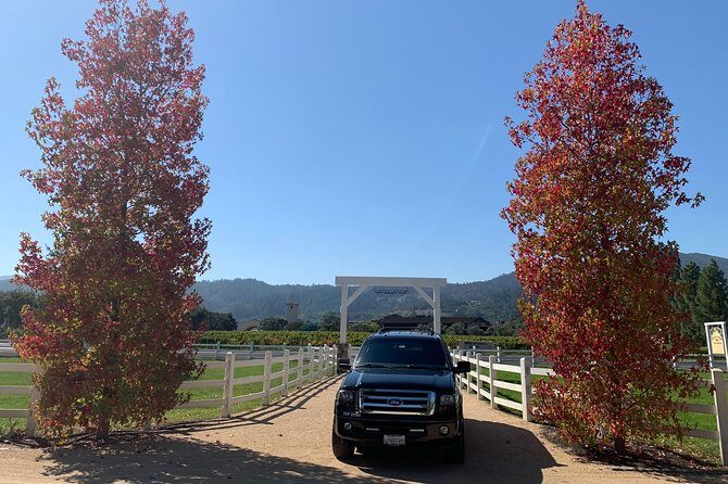 Private Wine Tour Napa or Sonoma 6 hours up to 6 people - The Sum Up